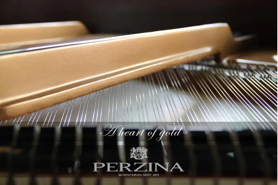 Perzina Pianos - photo 7