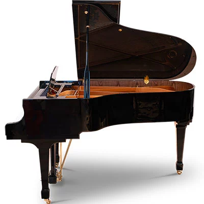 Gerh. Steinberg Grand Piano 166 Economy - photo 2 thumbnail