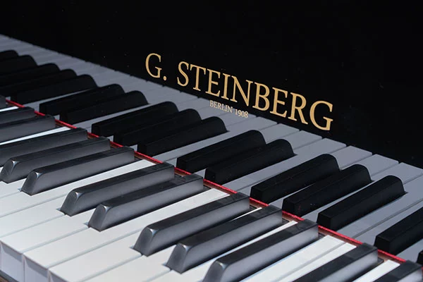 Gerh. Steinberg Grand Piano 166 Economy - photo 4