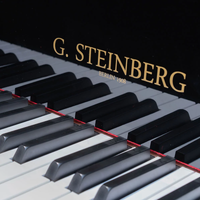 Gerh. Steinberg Grand Piano 166 Economy - photo 4 thumbnail