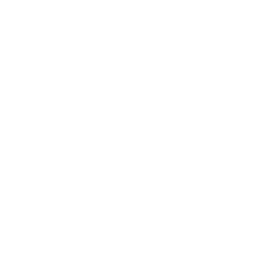 icon piano size