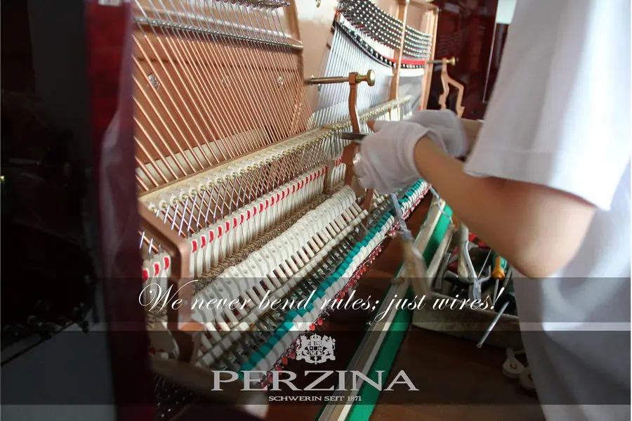 Perzina Pianos - photo 25