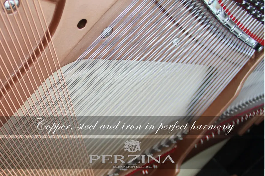 Perzina Pianos - photo 49