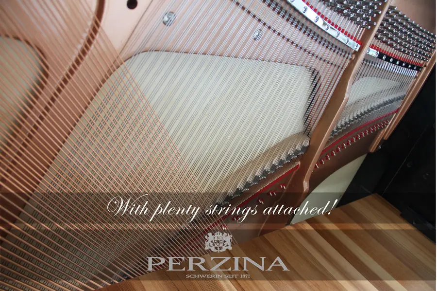 Perzina Pianos - photo 50