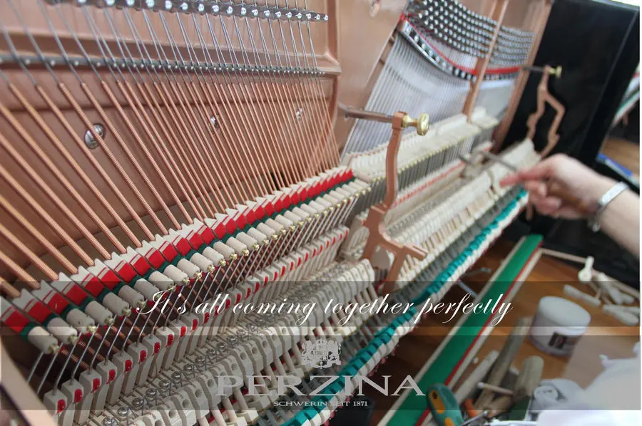 Perzina Pianos - photo 54