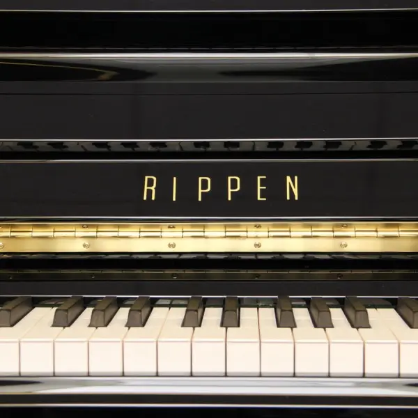 Rippen L1 Piano - photo 4