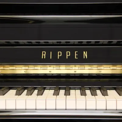 Rippen L3 Piano - photo 4 thumbnail