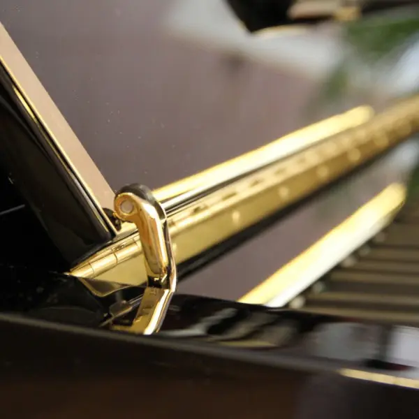 Rippen LS Concert Piano - photo 5